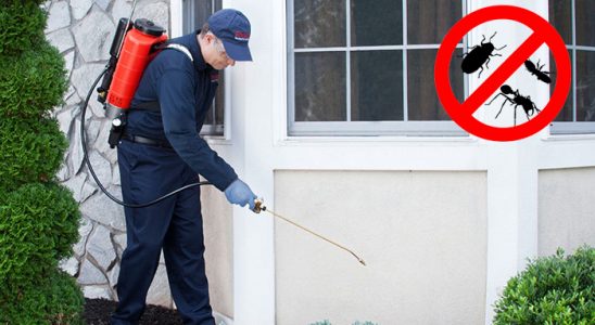 Tefenni Dezenfeksiyon böcek ilaçlama ve haşere kontrolü — ilaclama-tr.com